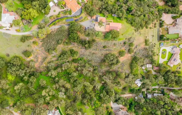 a view of a tree with a yard
