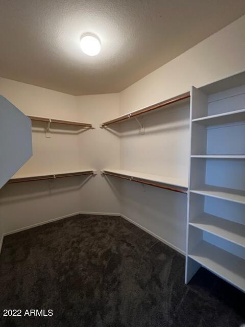 4311 South Splendor Place Gilbert, AZ 85297 - Photo 11 of 24 a room with shelves