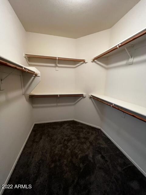 4311 South Splendor Place Gilbert, AZ 85297 - Photo 10 of 24 a close view of walk in closet