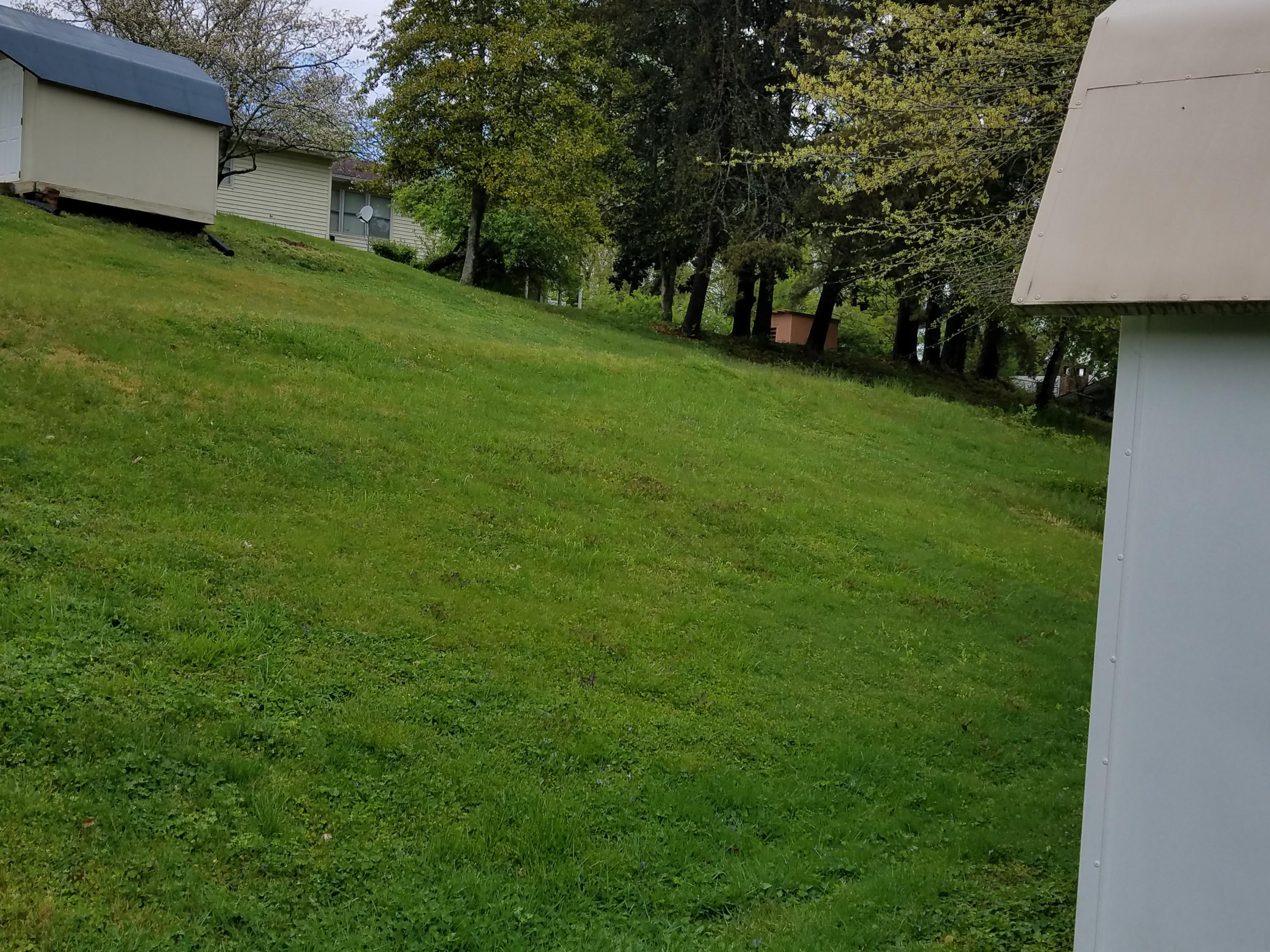 124 South Purdue Avenue Oak Ridge, TN 37830 - Photo 14 of 14 Backyard