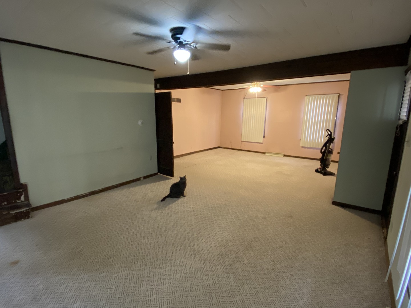 111 East Elm Street Fairbury, IL 61739 - Photo 4 of 11 an empty room with windows and fan