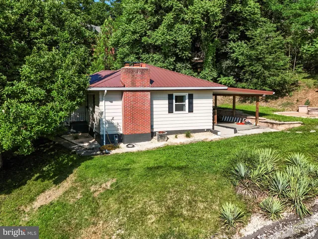 a view of a yard in front of a house with plants and large tree
