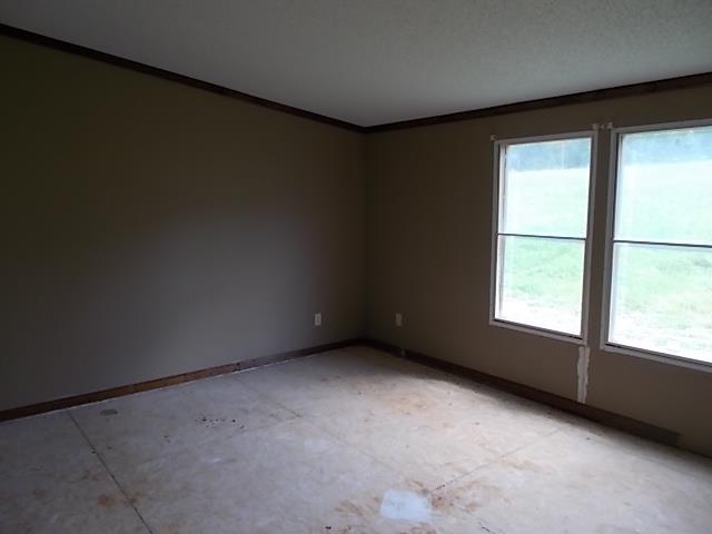 3535 Fly Road Santa Fe, TN 38482 - Photo 12 of 12