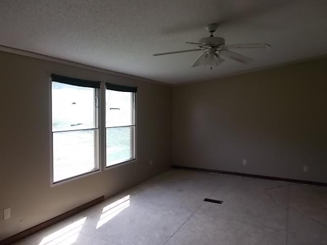 3535 Fly Road Santa Fe, TN 38482 - Photo 3 of 12