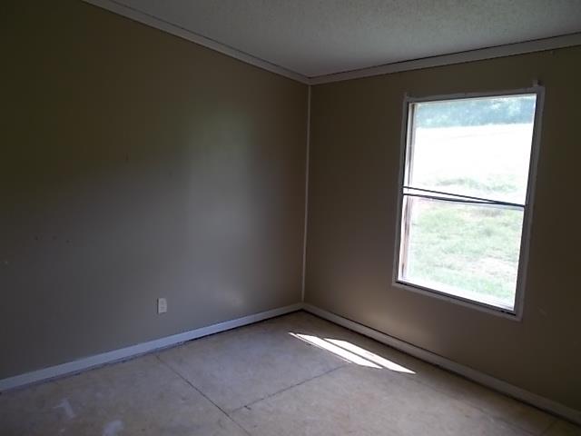 3535 Fly Road Santa Fe, TN 38482 - Photo 10 of 12
