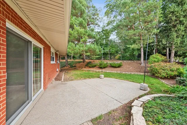 a view of a park with large trees