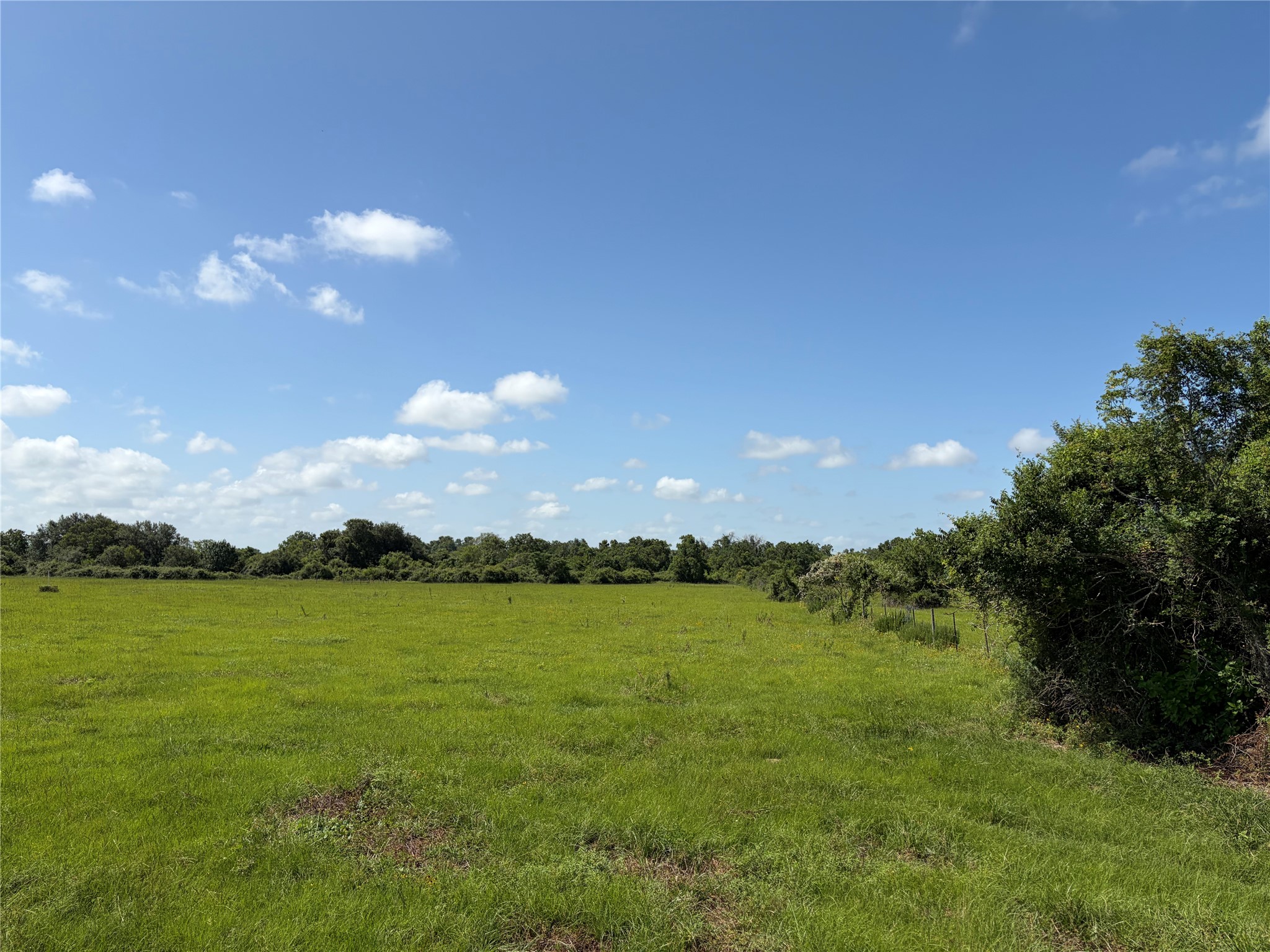 1186 Schindler Road Alleyton, TX 78935 - Photo 15 of 17