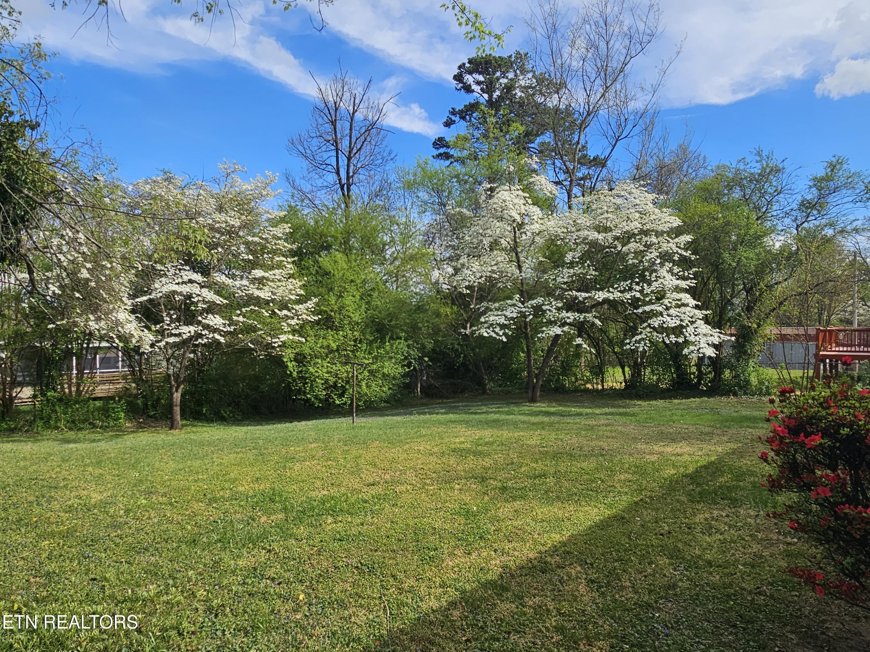 3200 Hazelwood Road Knoxville, TN 37921 - Photo 2 of 21 20260401_161944