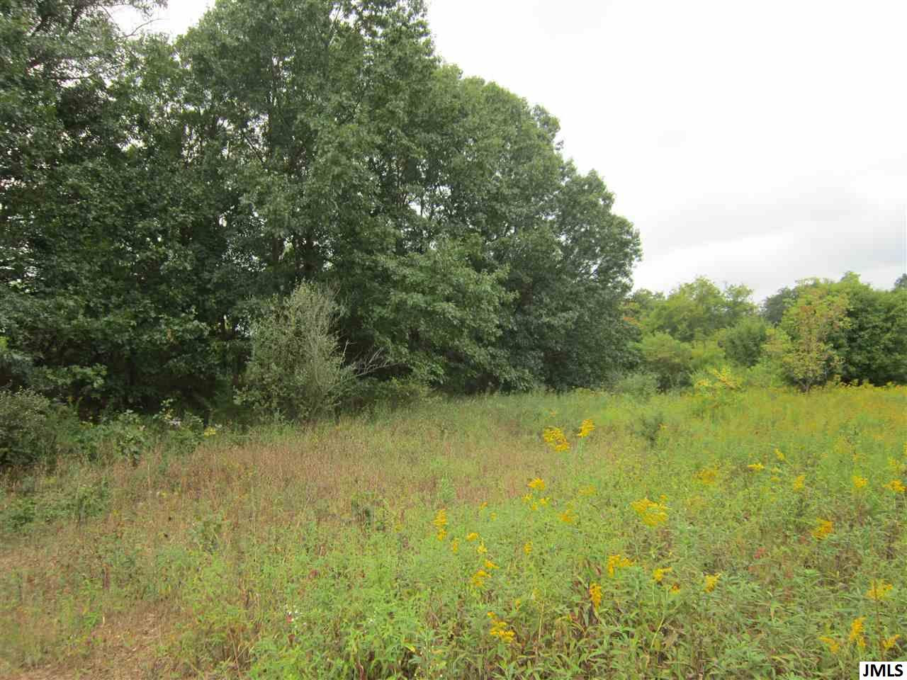 Sears Road Horton, MI 49246 - Photo 1 of 4 Photo 1