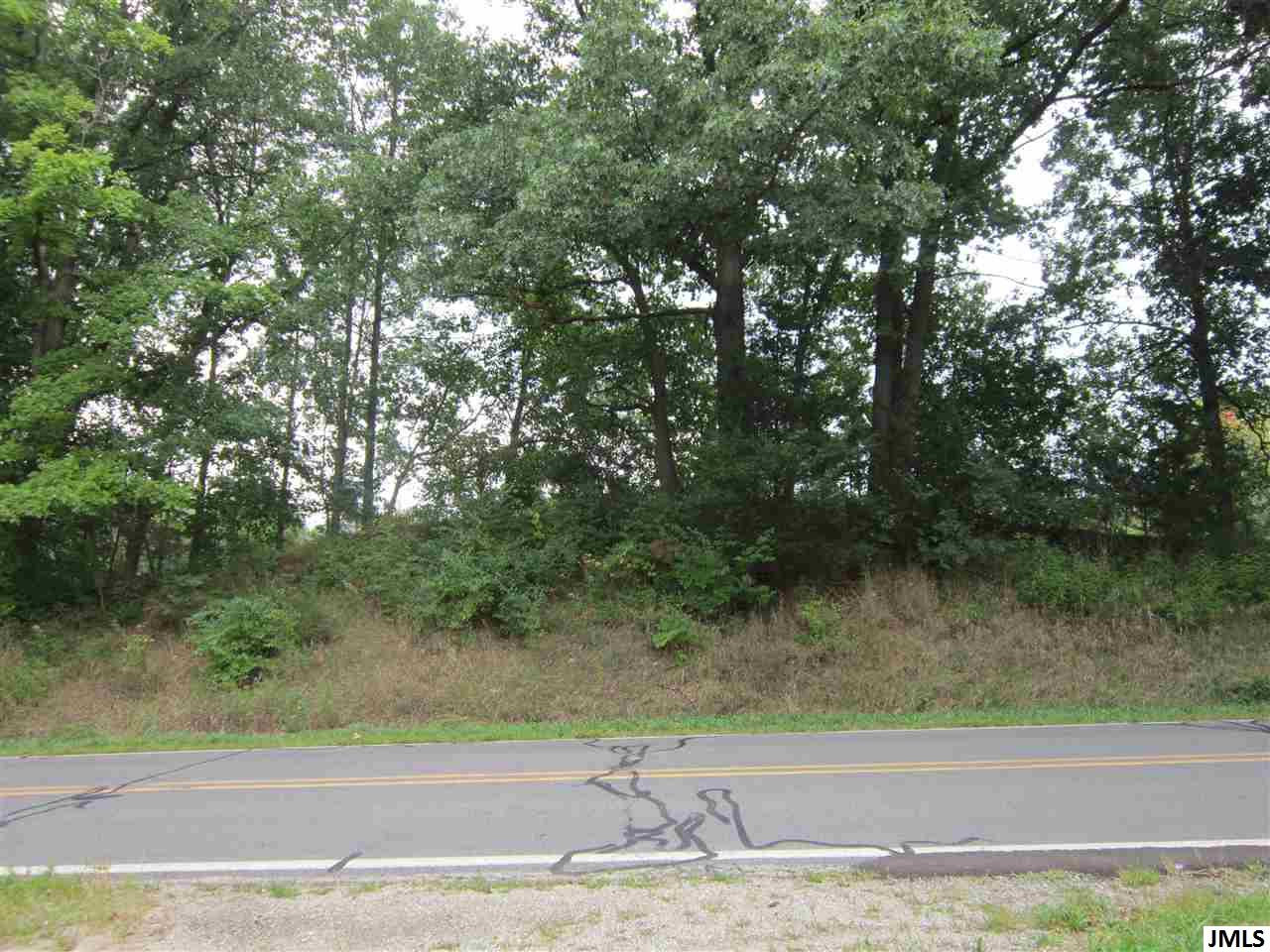 Sears Road Horton, MI 49246 - Photo 2 of 4 Photo 2