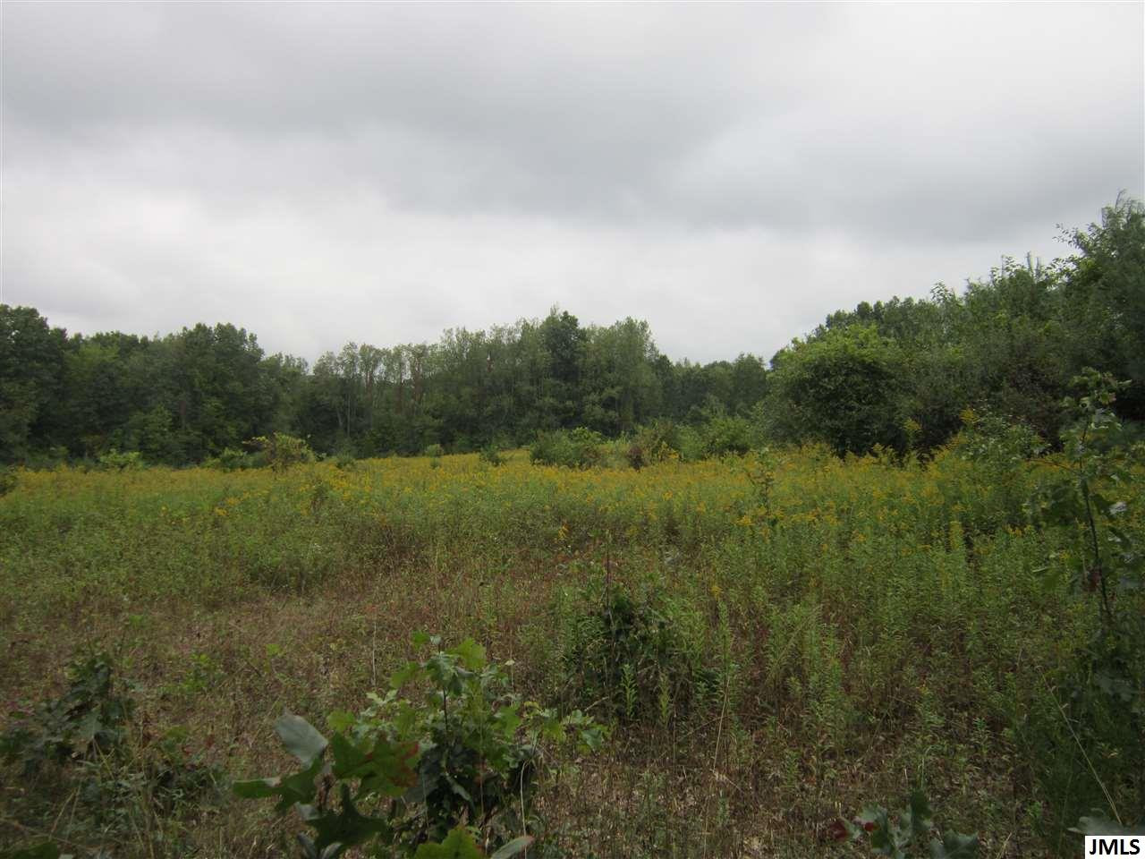 Sears Road Horton, MI 49246 - Photo 3 of 4 Photo 3