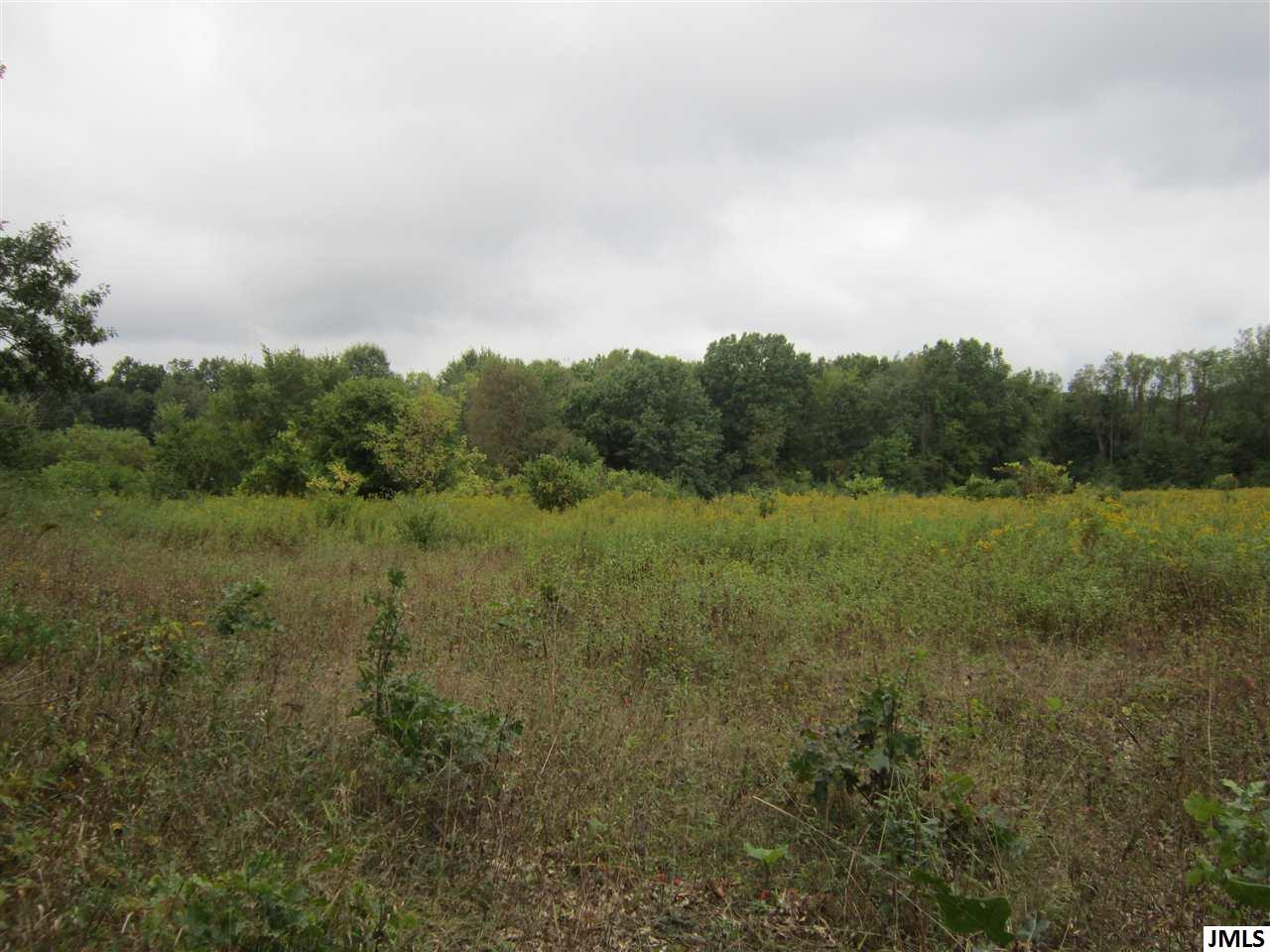 Sears Road Horton, MI 49246 - Photo 4 of 4 Photo 4