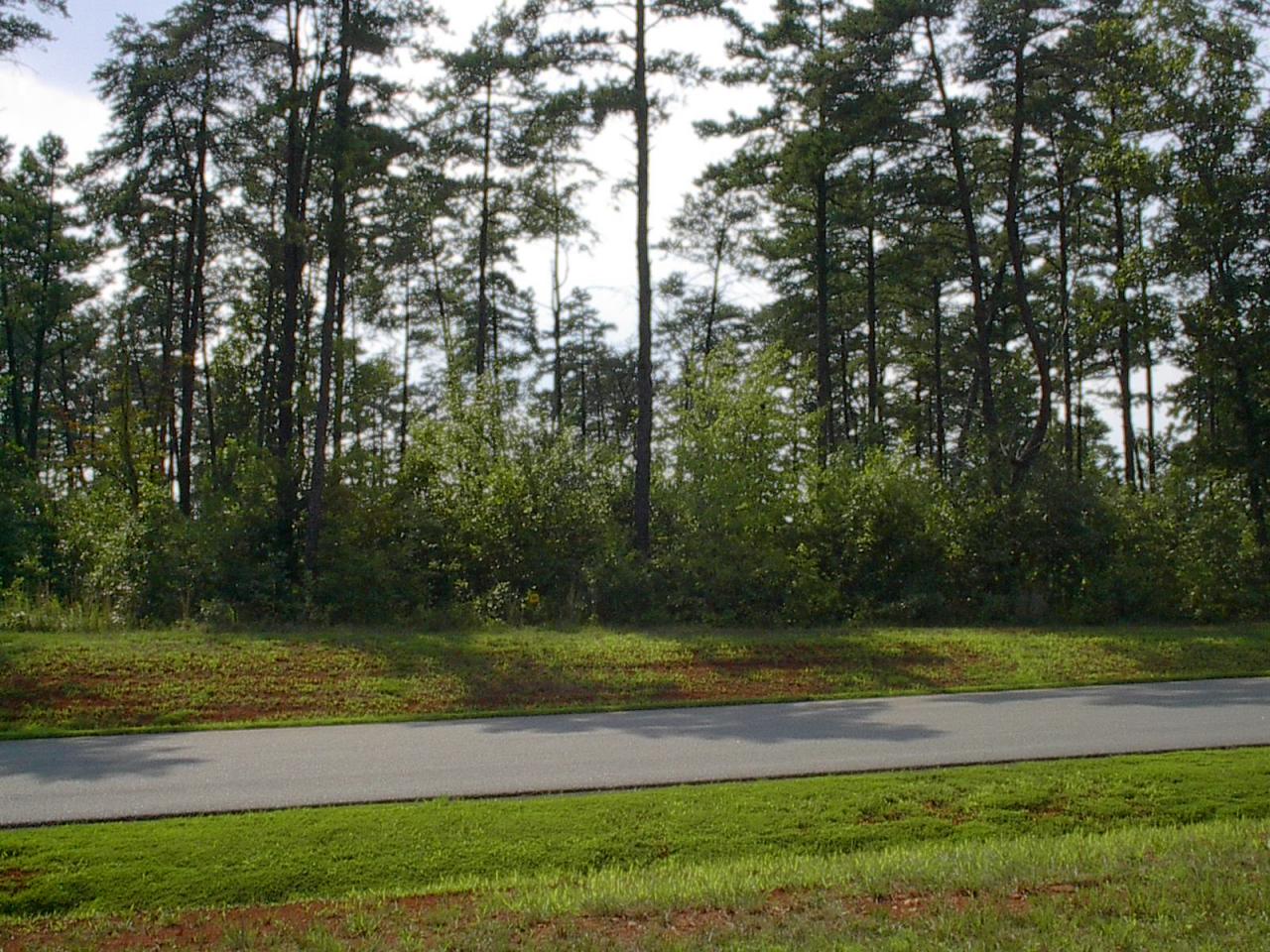 330 Bay View Road Lynch Station, VA 24571 - Photo 3 of 6 Front of Property from Road
