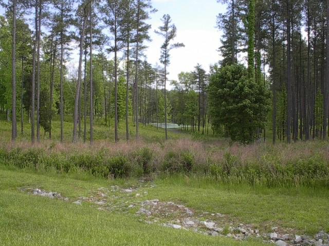 330 Bay View Road Lynch Station, VA 24571 - Photo 5 of 6 Community Park & Tennis Court