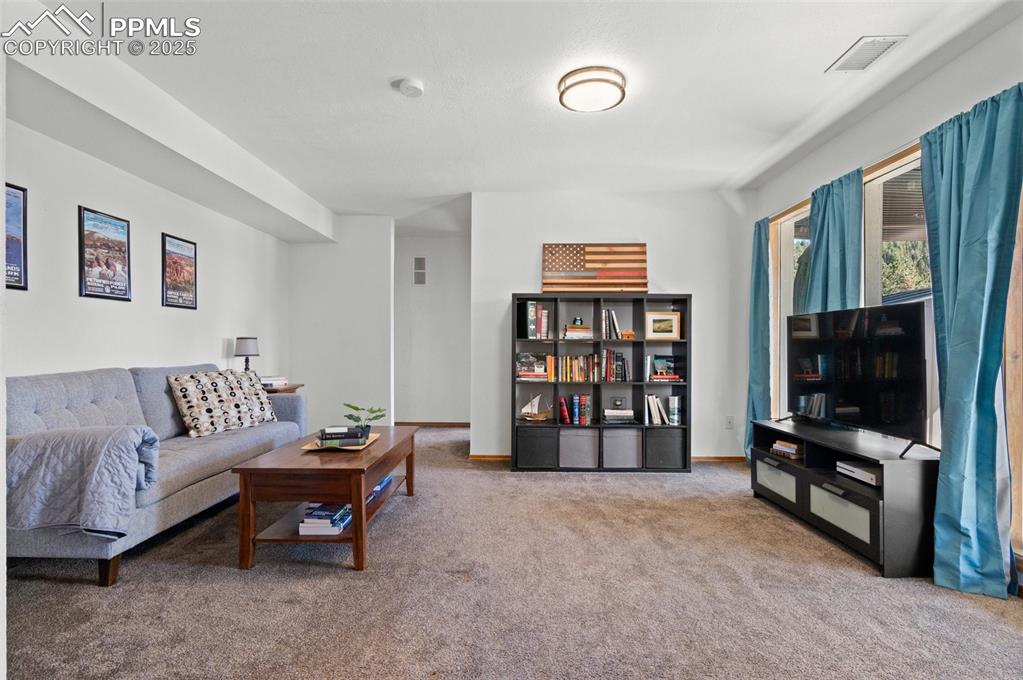 73 Sunlight Lane Bailey, CO 80421 - Photo 11 of 33