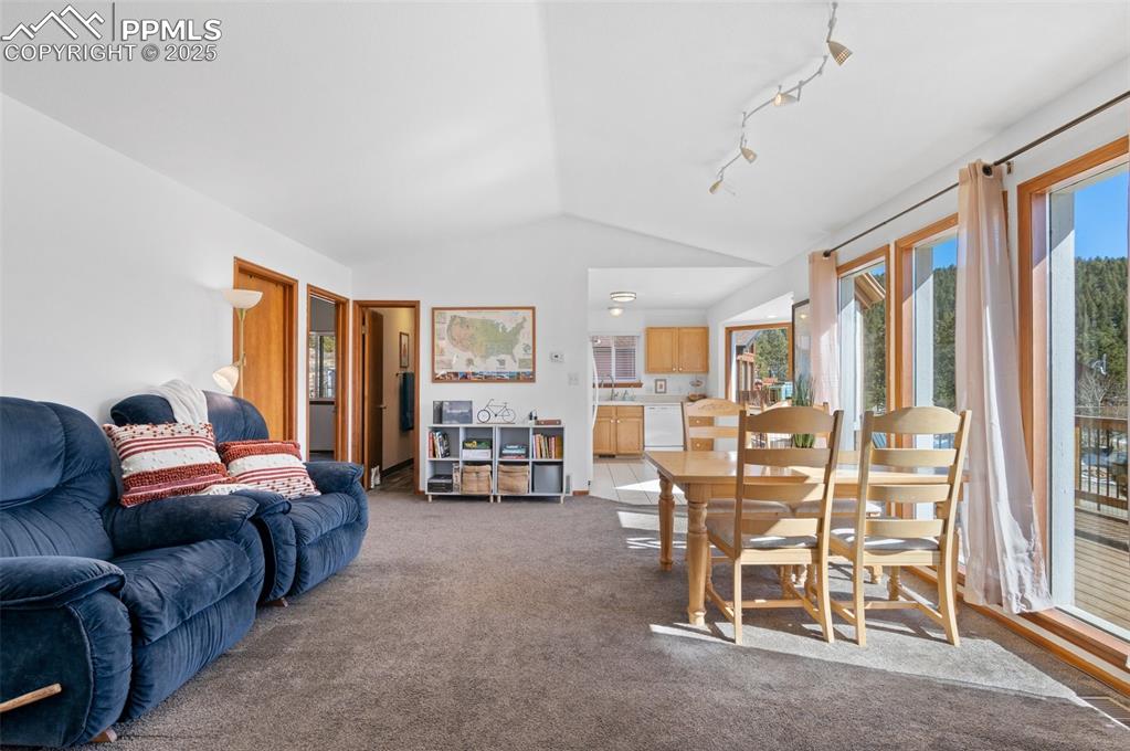 73 Sunlight Lane Bailey, CO 80421 - Photo 13 of 33