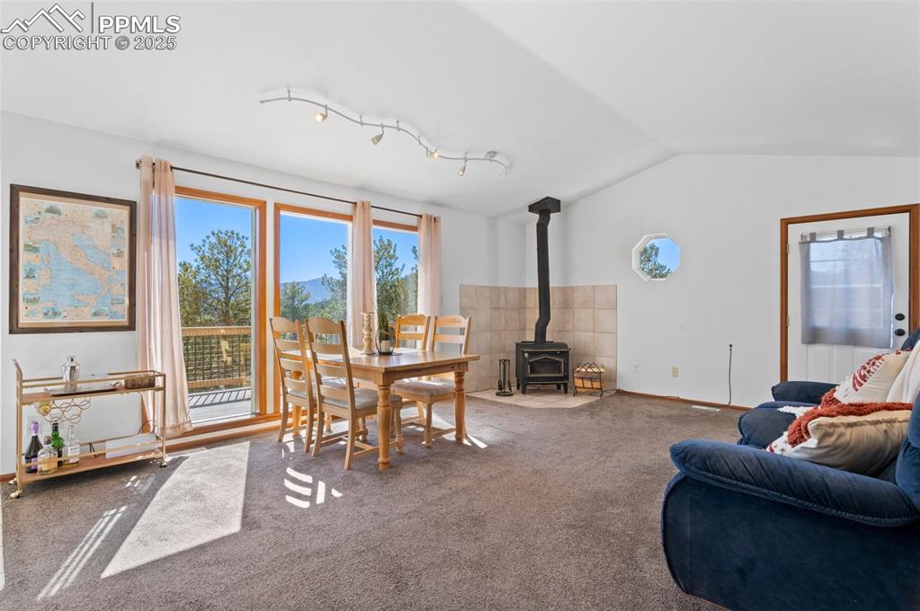 73 Sunlight Lane Bailey, CO 80421 - Photo 14 of 33