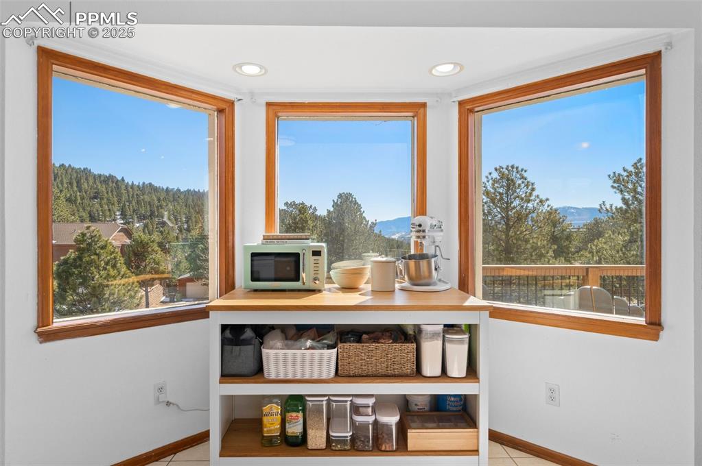 73 Sunlight Lane Bailey, CO 80421 - Photo 7 of 33