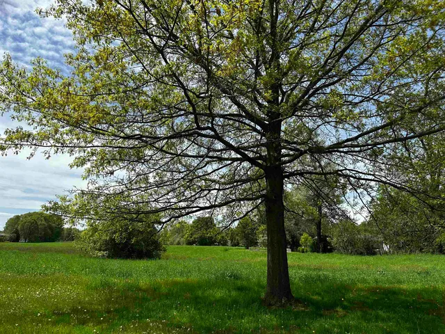 $150,000 | 4 Wilmar Street, Unit 7, Middlebury, VT 05753