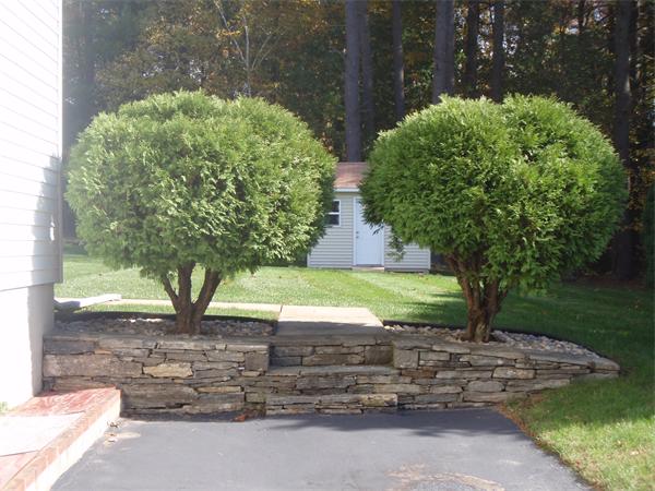 10 Sycamore Road Shrewsbury, MA 01545 - Photo 25 of 25 Gallery Image 25