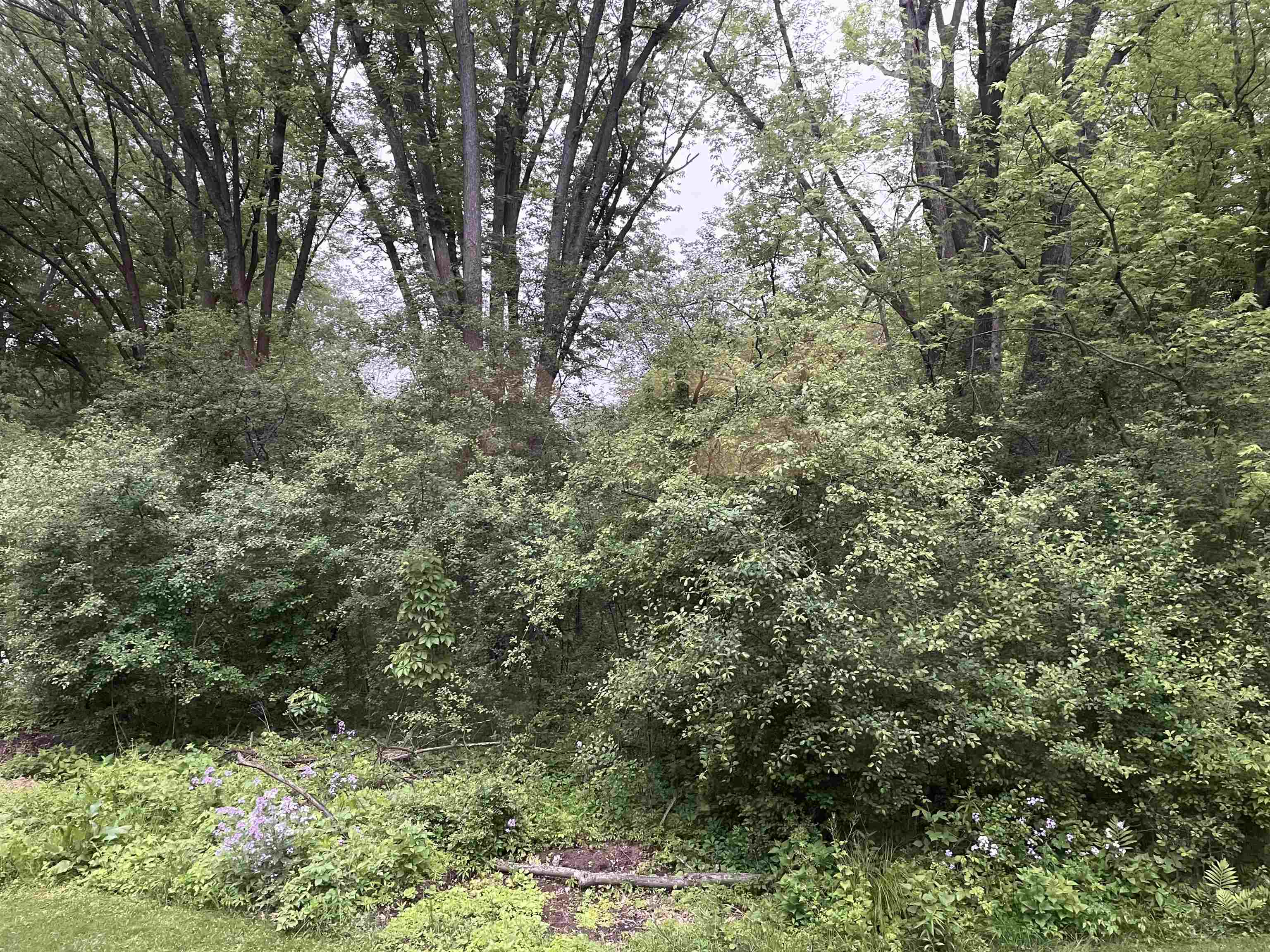 Lot 5 Lakeview Cambridge, WI 53523 - Photo 2 of 6