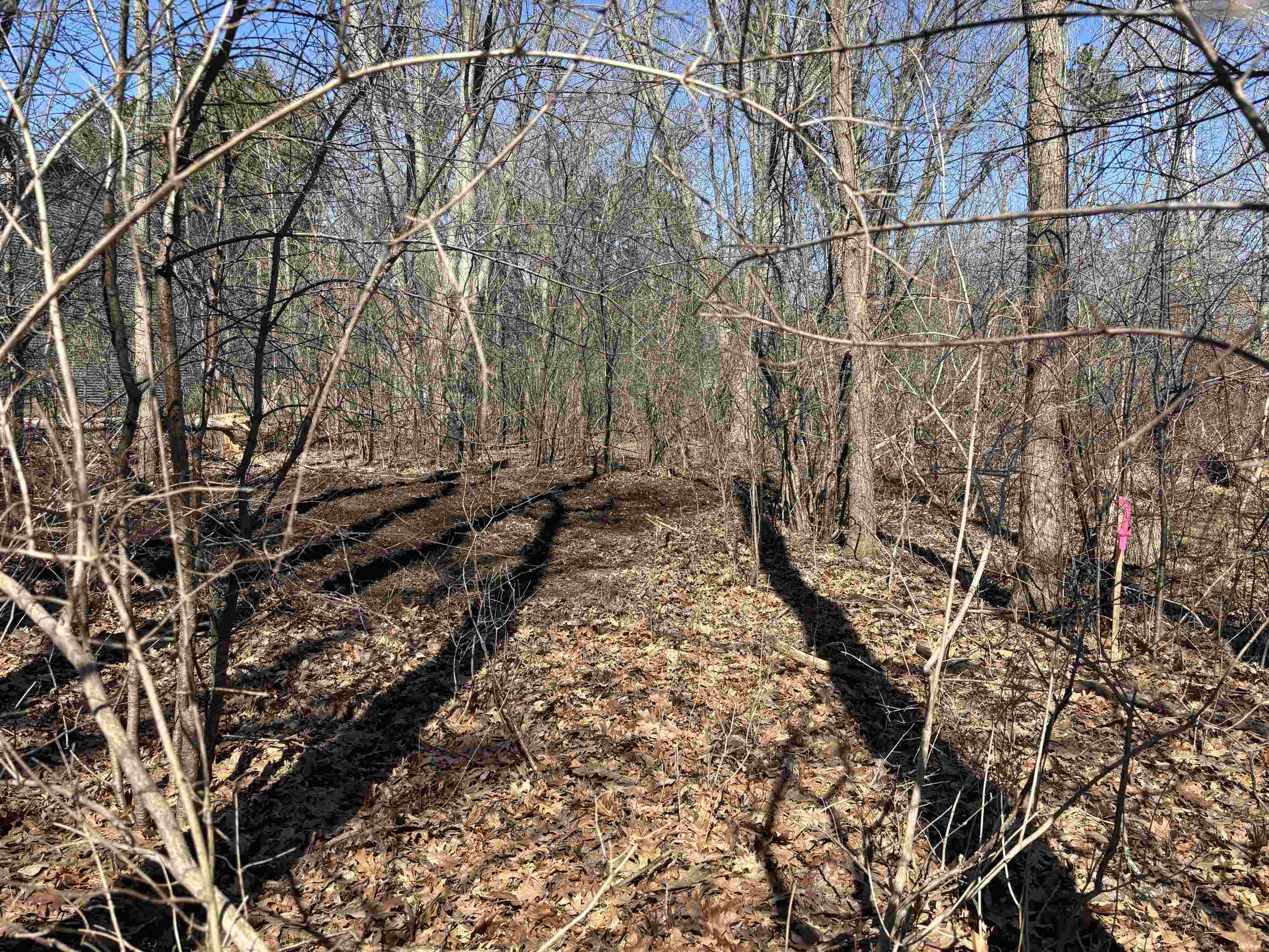 Lot 5 Lakeview Cambridge, WI 53523 - Photo 3 of 7