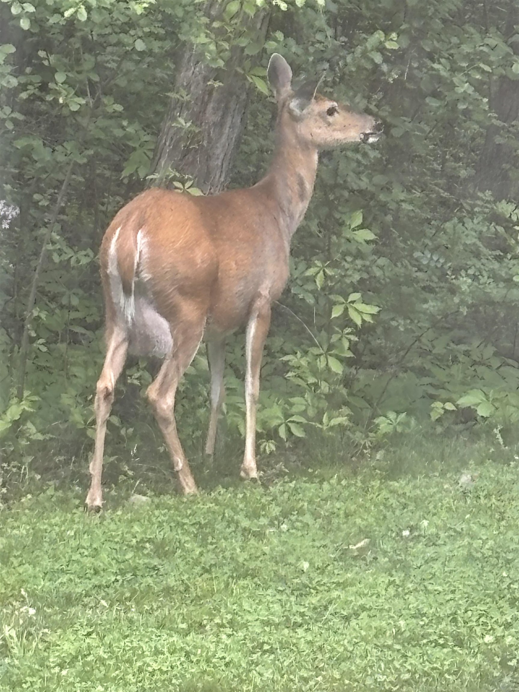 Lot 5 Lakeview Cambridge, WI 53523 - Photo 6 of 6