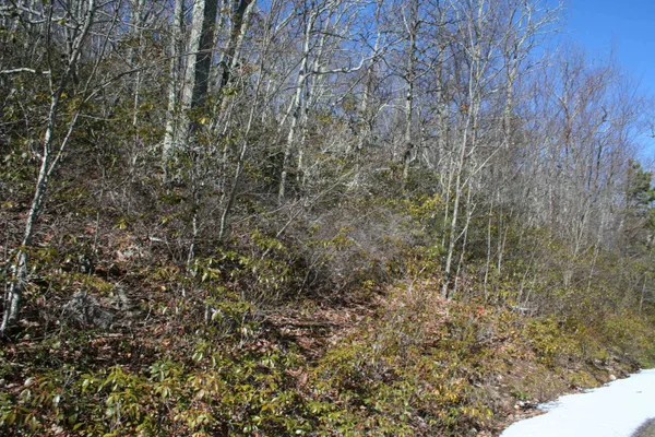 $19,900 | Tbd High Valley Drive North, Monterey, VA 24465