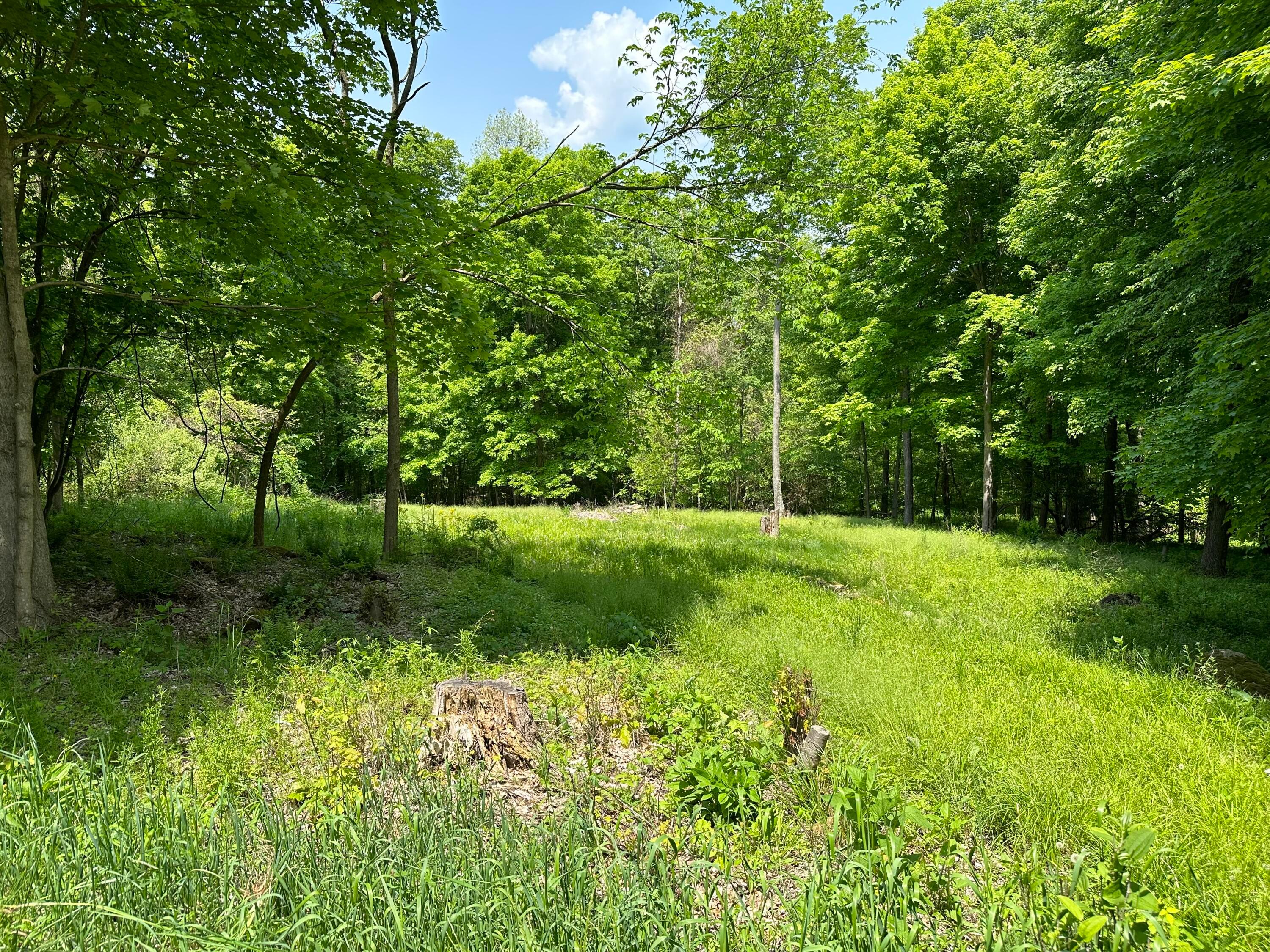 0 Trease Road Mansfield, OH 44904 - Photo 1 of 4 IMG_1071