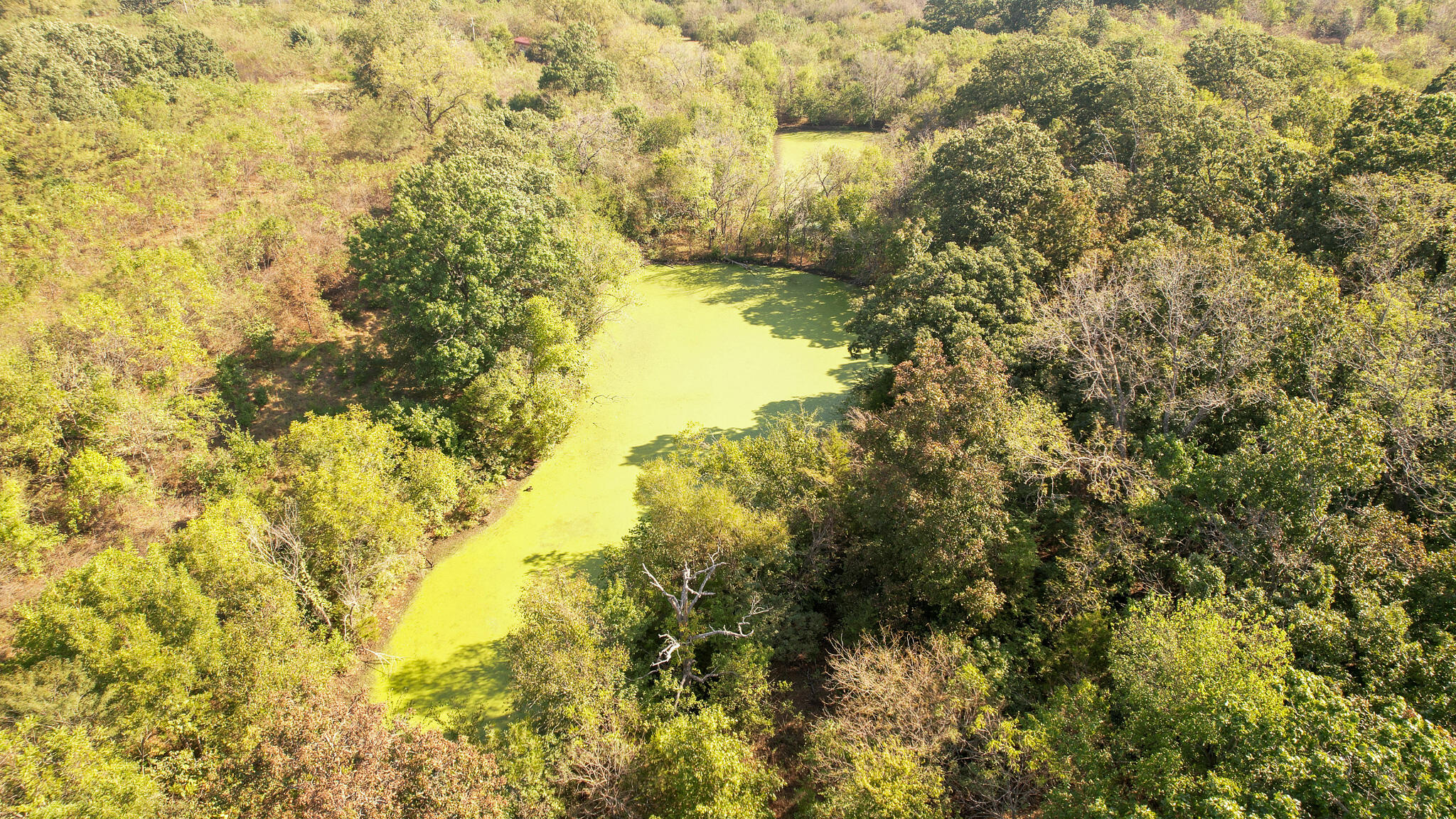 11075 East 1700th Road Stockton, MO 65785 - Photo 6 of 8 DJI_0081