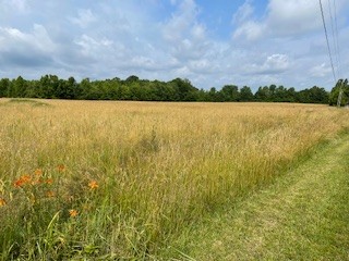 644 Browns Road Lafayette, TN 37083 - Photo 2 of 5 a view of lake and mountain in the back