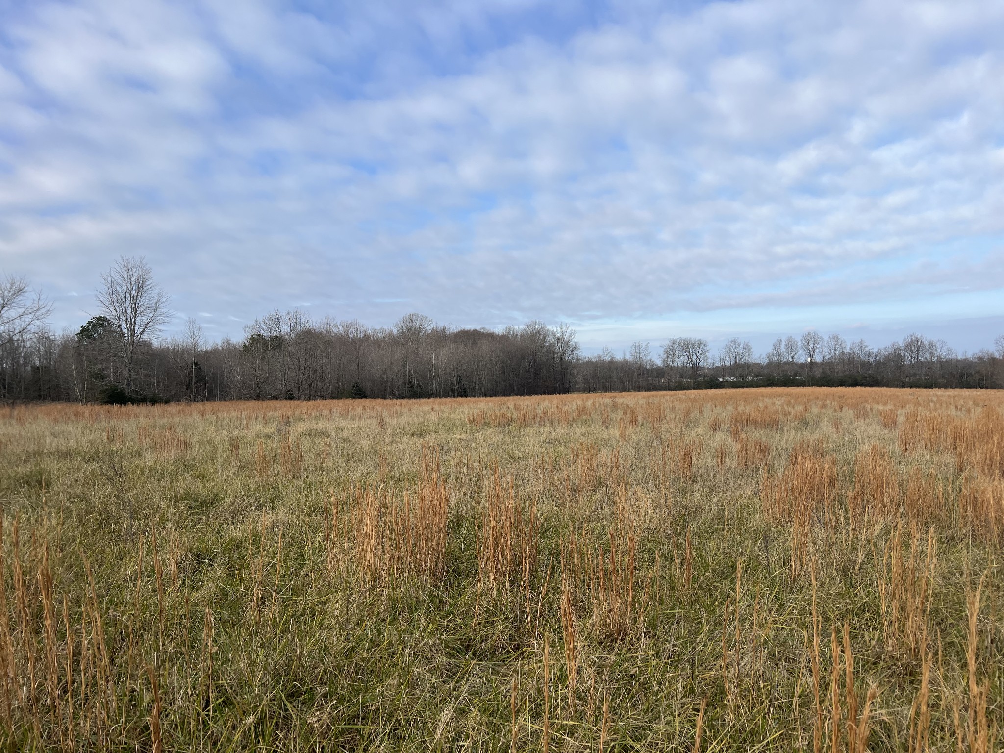 644 Browns Road Lafayette, TN 37083 - Photo 4 of 5 a view of lake