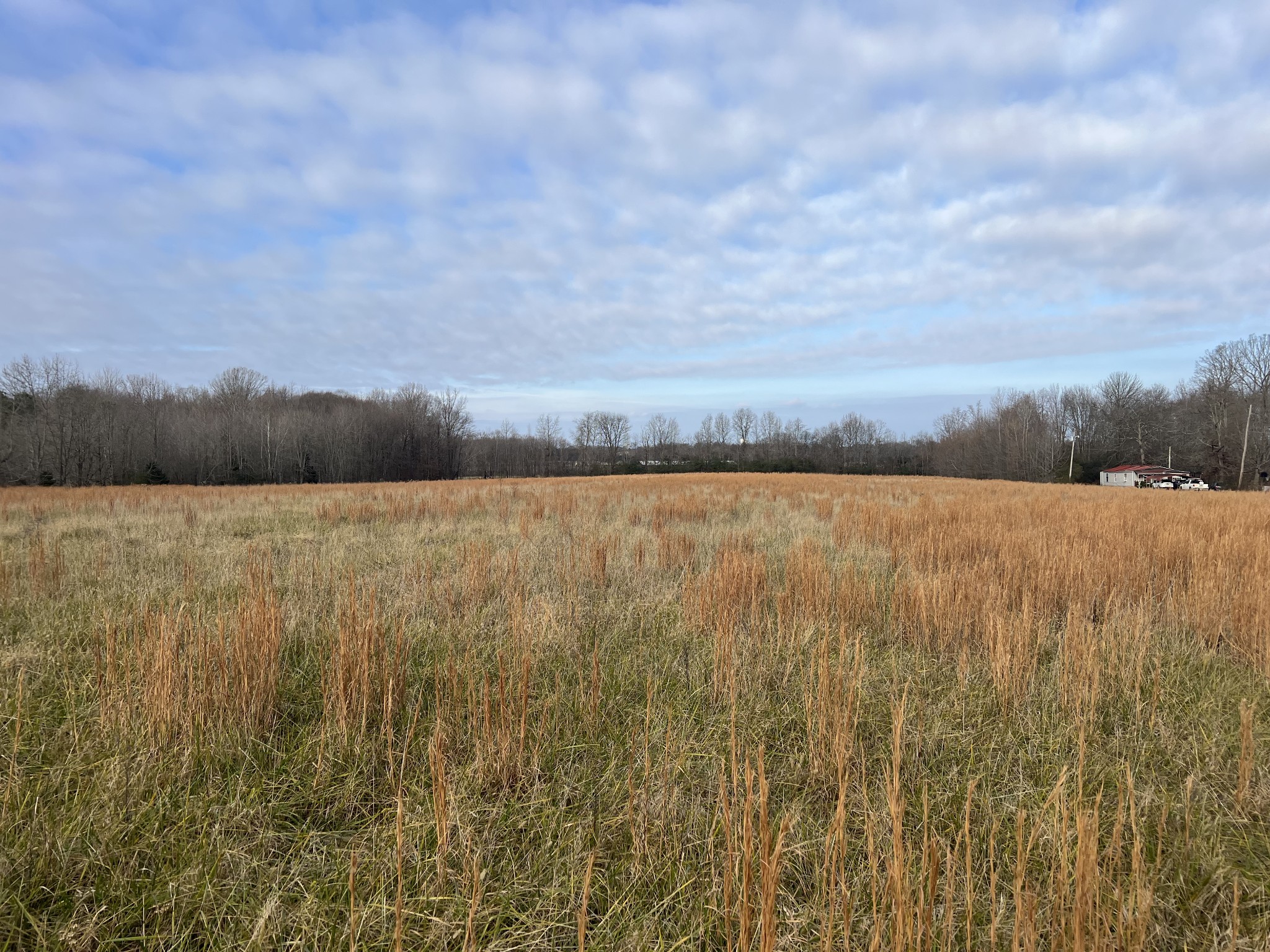 644 Browns Road Lafayette, TN 37083 - Photo 5 of 5