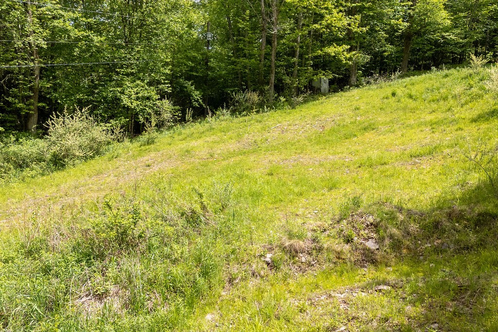 1361 Weaver Hollow Road Andes, NY 12455 - Photo 15 of 23