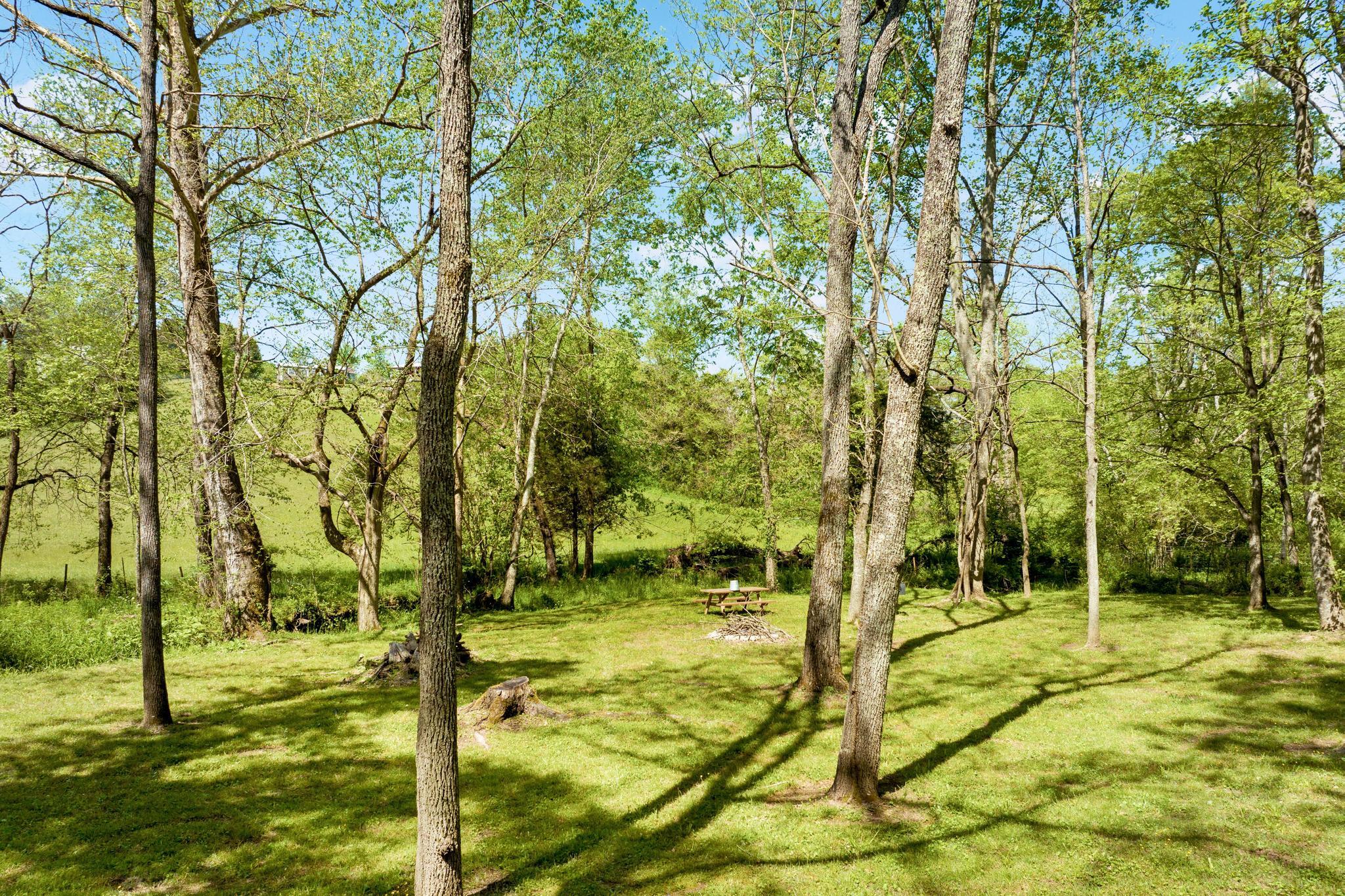 152-150 John Howze Road Jonesborough, TN 37659 - Photo 100 of 104 DJI_0230