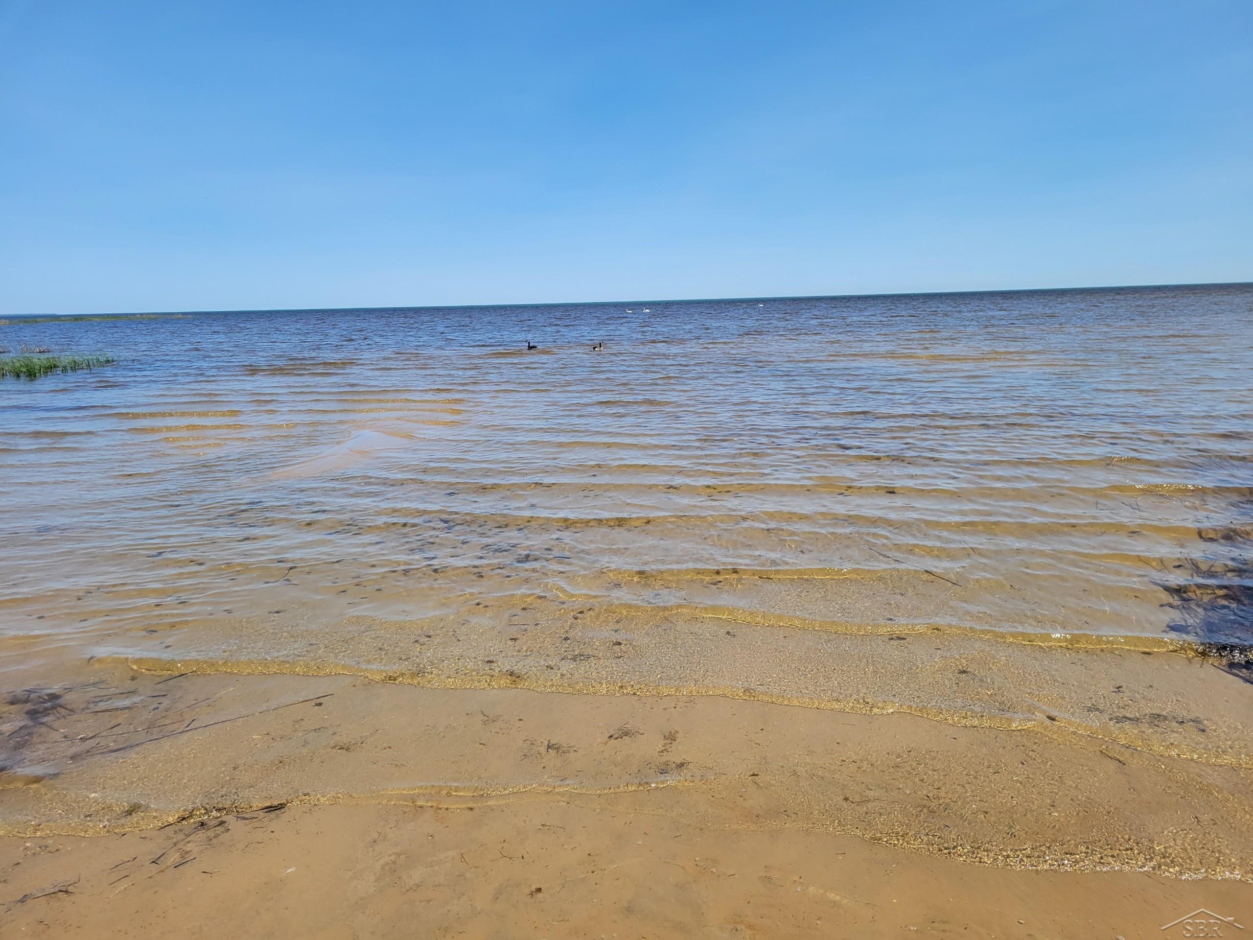 5225 Beachwood Road Standish, MI 48658 - Photo 15 of 15 Sandy Beach Front