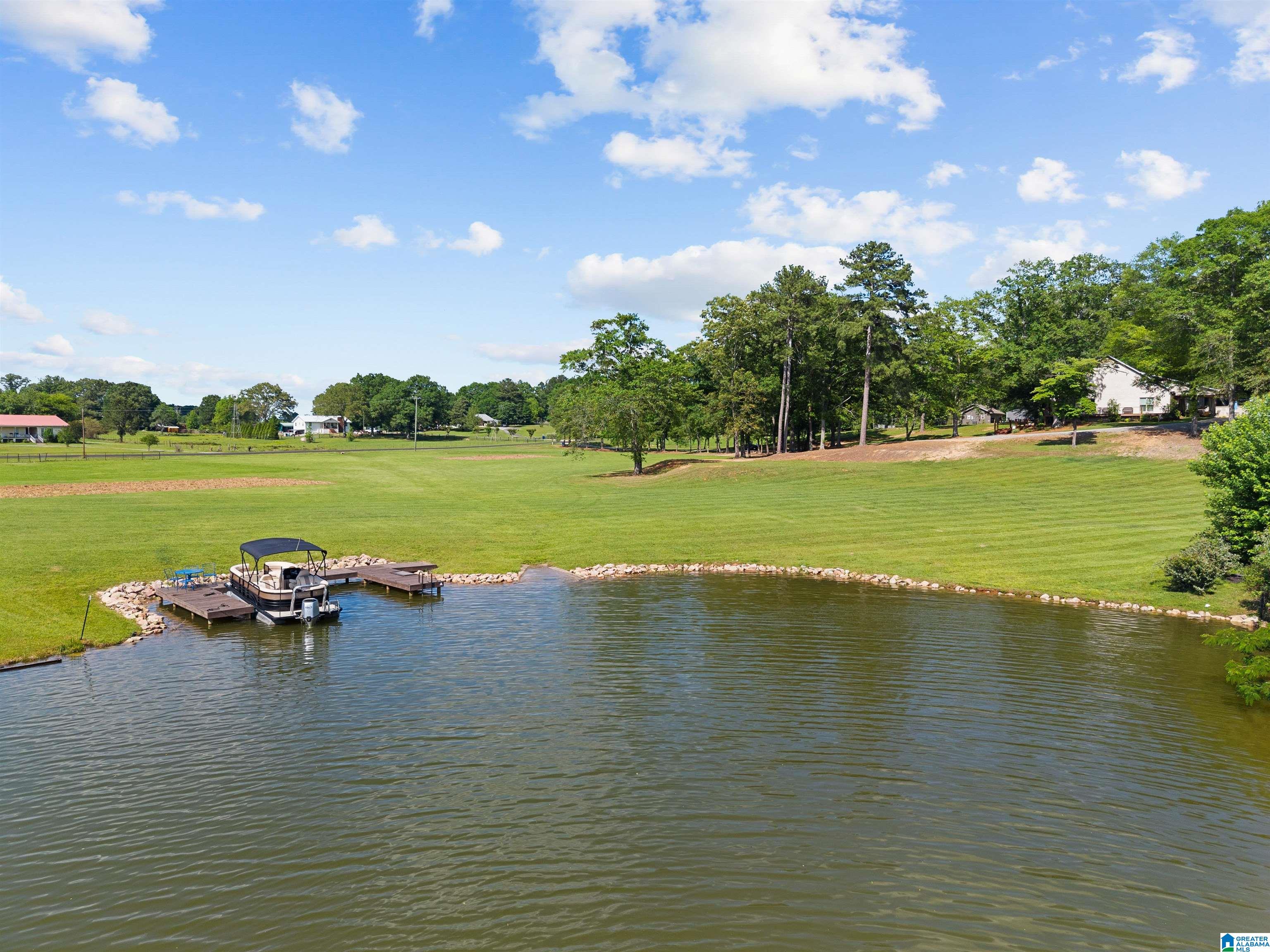 4412 Masters Road Pell City, AL 35128 - Photo 3 of 40