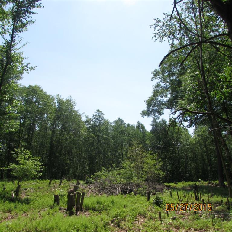 180 Chestnut Hill Road East Hampton, CT 06424 - Photo 1 of 1 Gallery Image 1