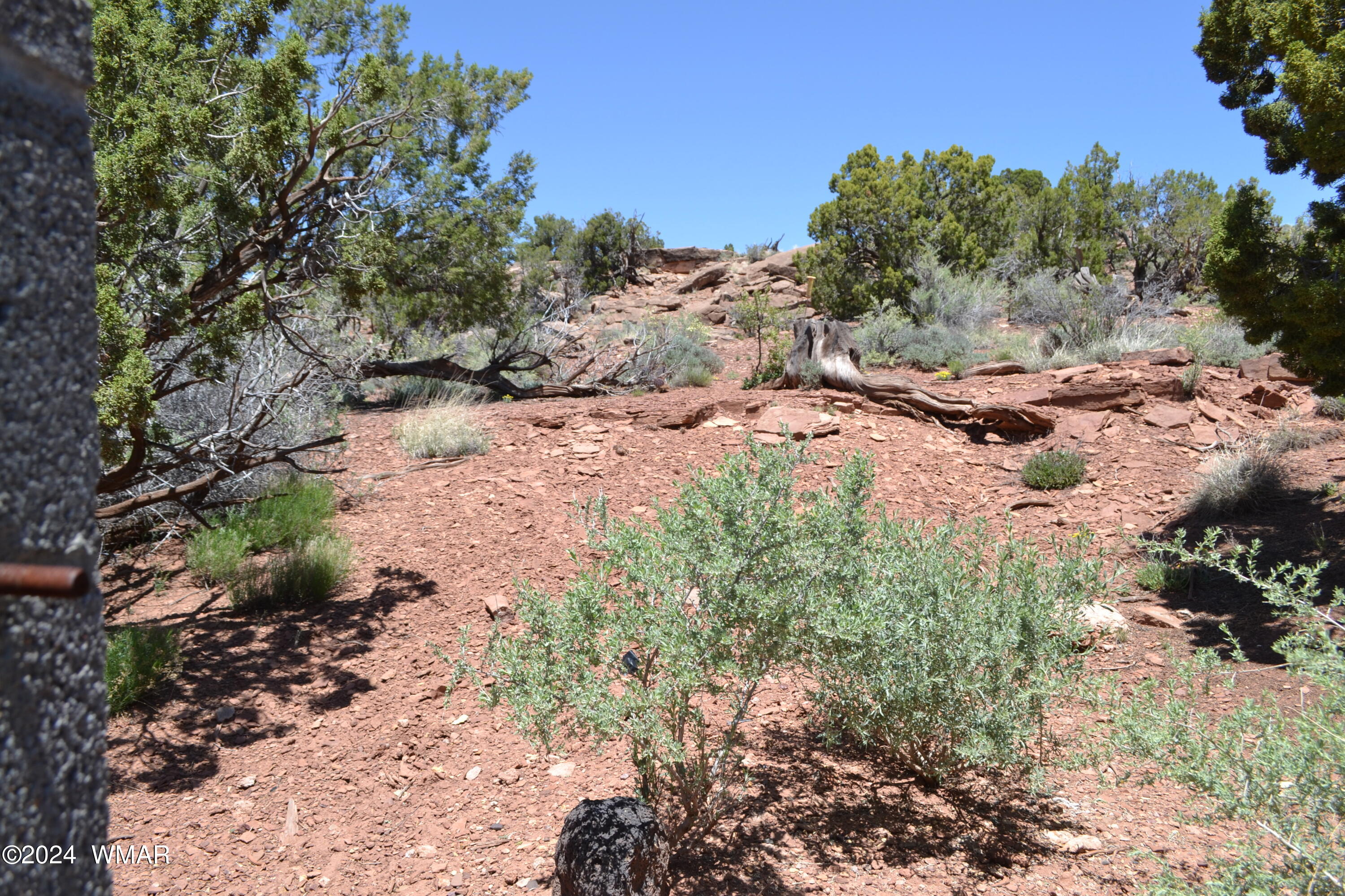 3733 Del Contento Snowflake, AZ 85937 - Photo 47 of 72 DSC_0168