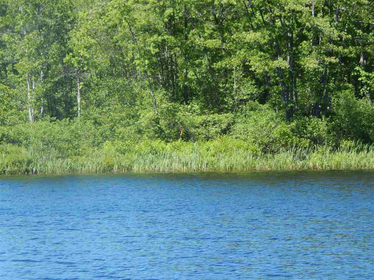 1 Filgate Island Meredith, NH 03253 - Photo 33 of 34 Gallery Image 33