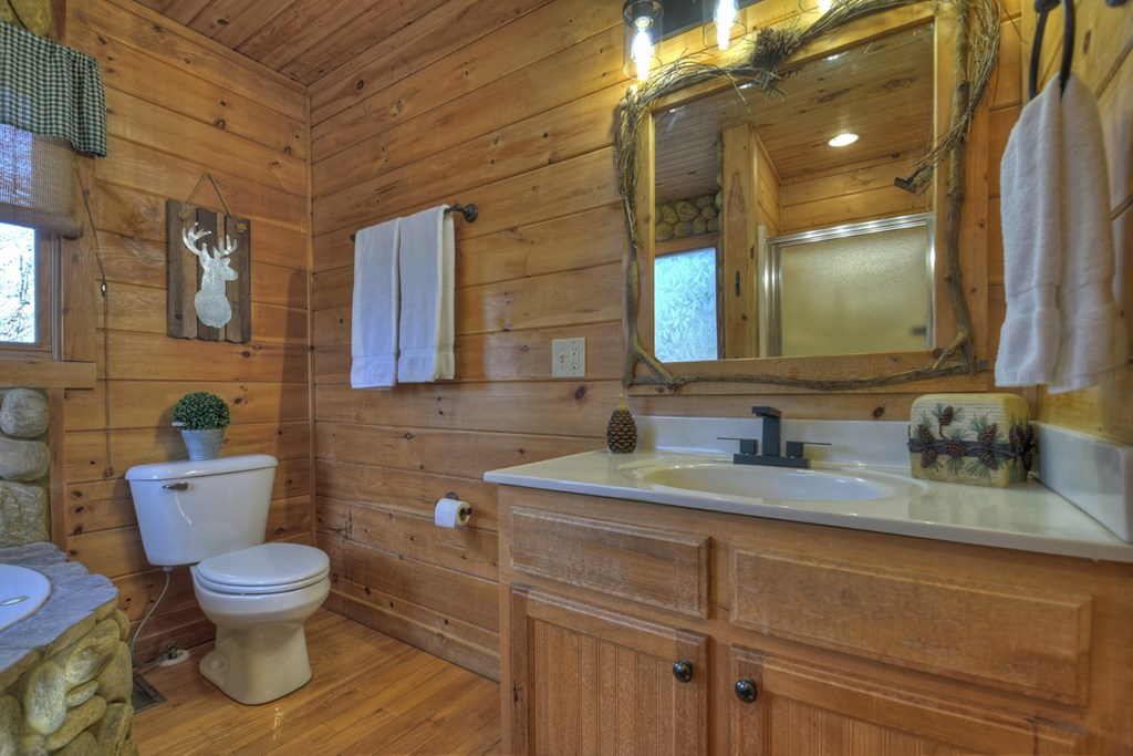 13 Cohutta Overlook Drive Blue Ridge, GA 30513 - Photo 24 of 57 Gallery Image 24