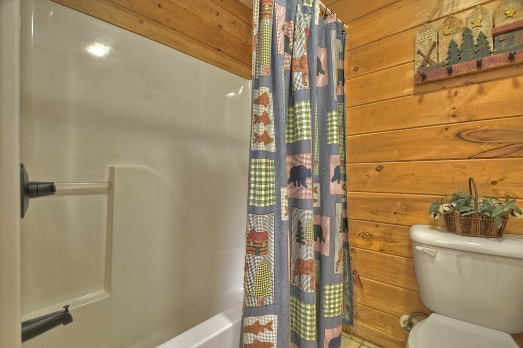 13 Cohutta Overlook Drive Blue Ridge, GA 30513 - Photo 35 of 57 Gallery Image 35