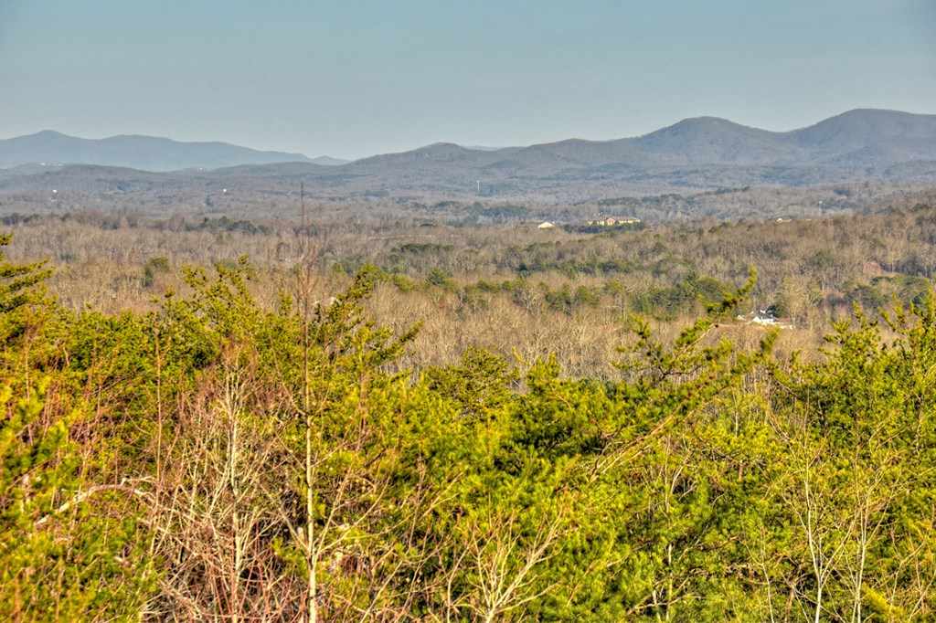 13 Cohutta Overlook Drive Blue Ridge, GA 30513 - Photo 53 of 57 Gallery Image 53