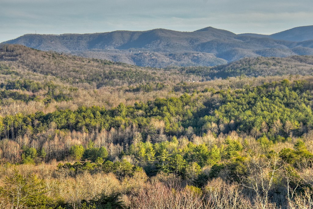 13 Cohutta Overlook Drive Blue Ridge, GA 30513 - Photo 54 of 57 Gallery Image 54