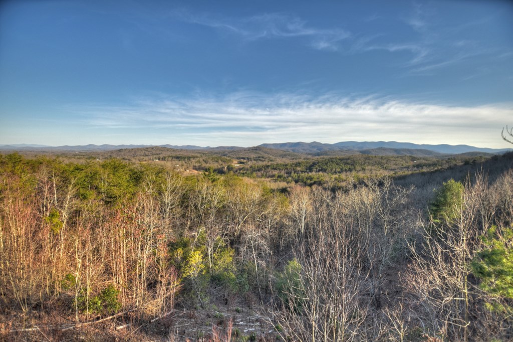 13 Cohutta Overlook Drive Blue Ridge, GA 30513 - Photo 55 of 57 Gallery Image 55