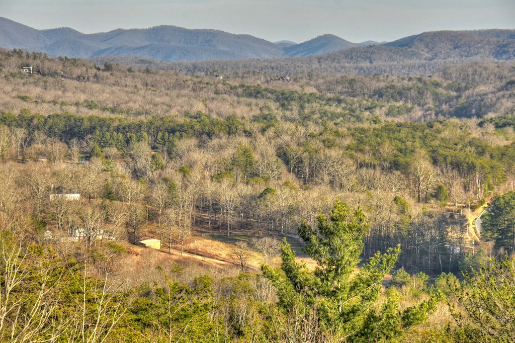 13 Cohutta Overlook Drive Blue Ridge, GA 30513 - Photo 56 of 57 Gallery Image 56