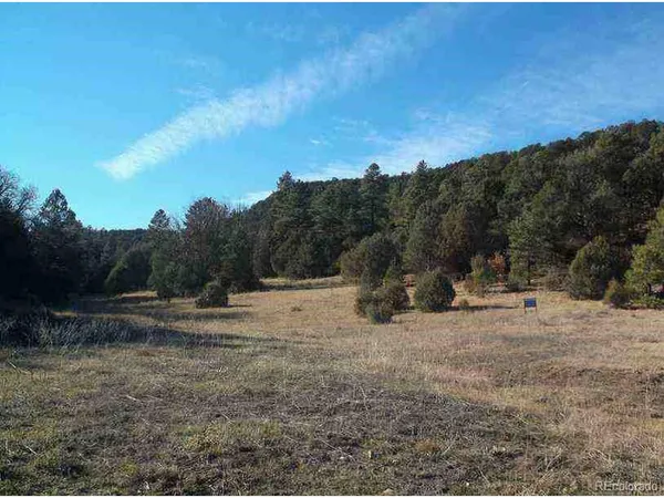 a view of a dry yard with trees