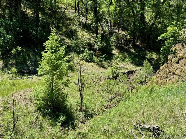 a view of a big yard with green space