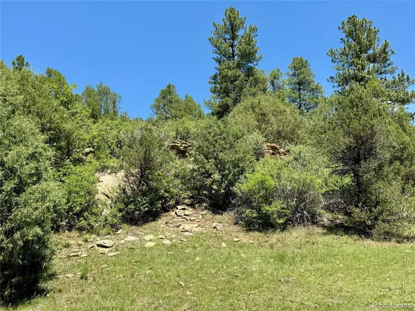 a view of a lake with a yard