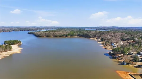 $1,250,000 | 631 New Harmony Drive, Lineville, AL 36266